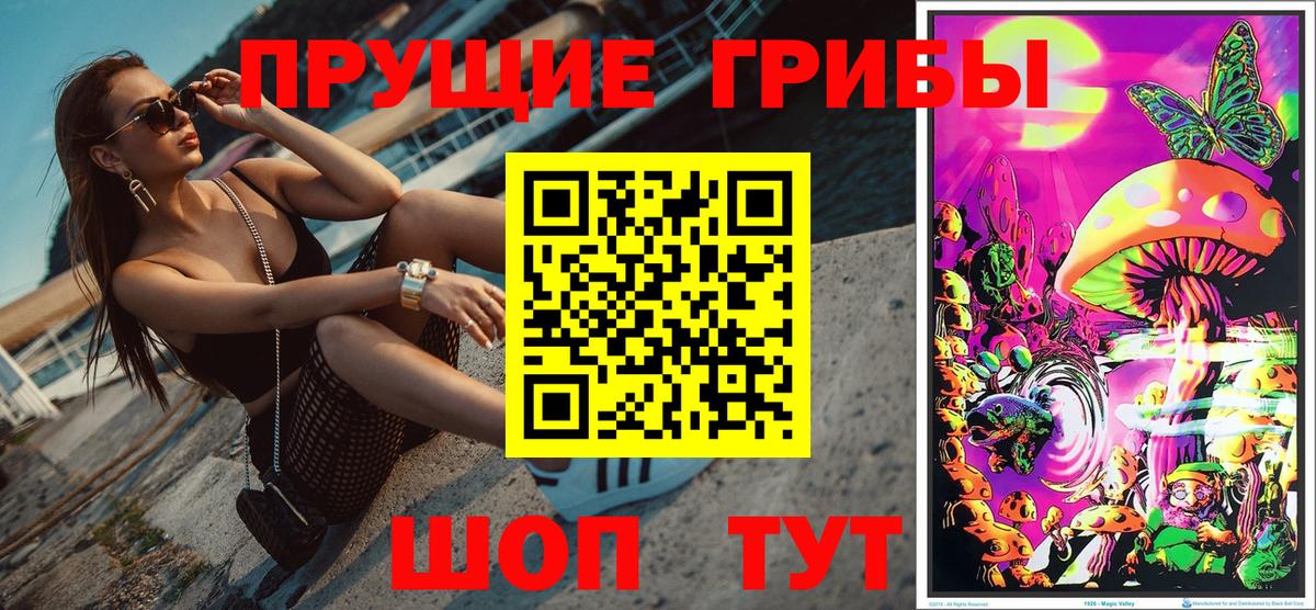 Топки  Псилоцибиновые грибы мицелий  Вход с VPN 