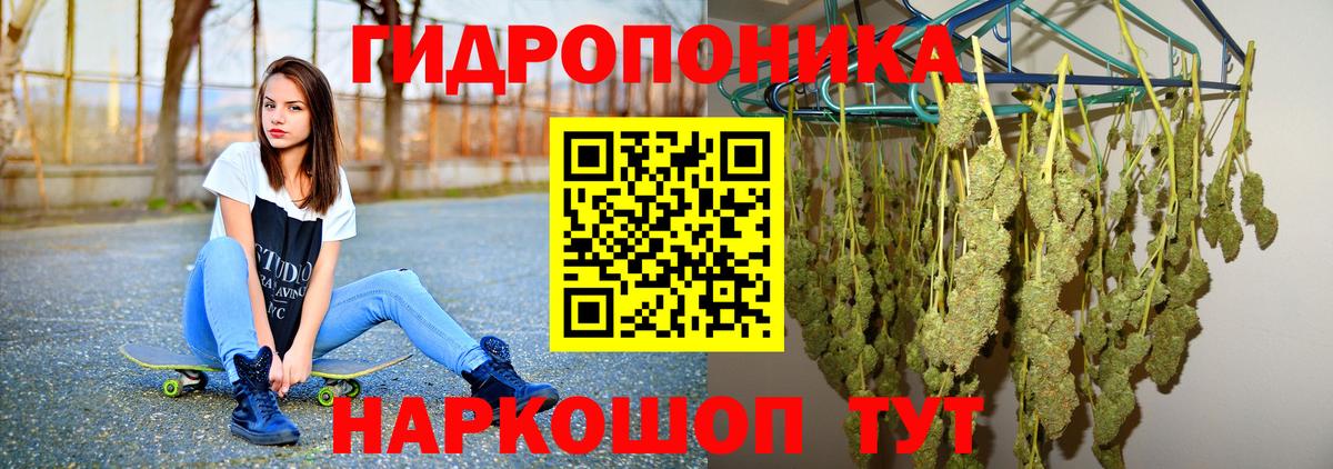 Канабис THC 21%  Канабис Bruce Banner  Вход с VPN  Топки  Марихуана сатива 